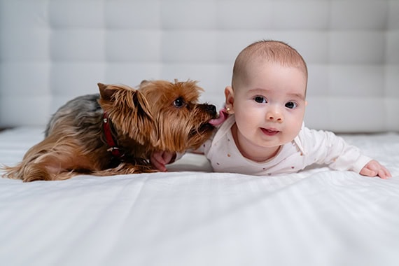 crastinare bebelus fata - amalia evelin